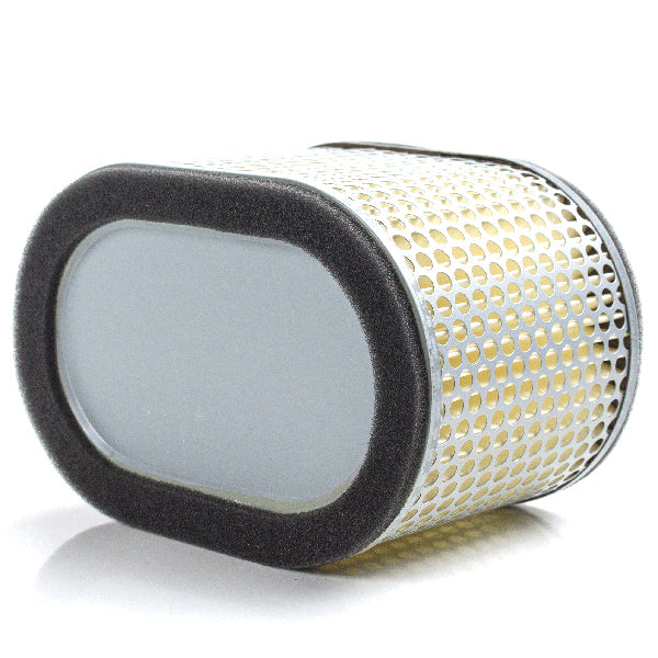 Lextek Air Filter Element for HFA3901, Suzuki 13780-02F00
