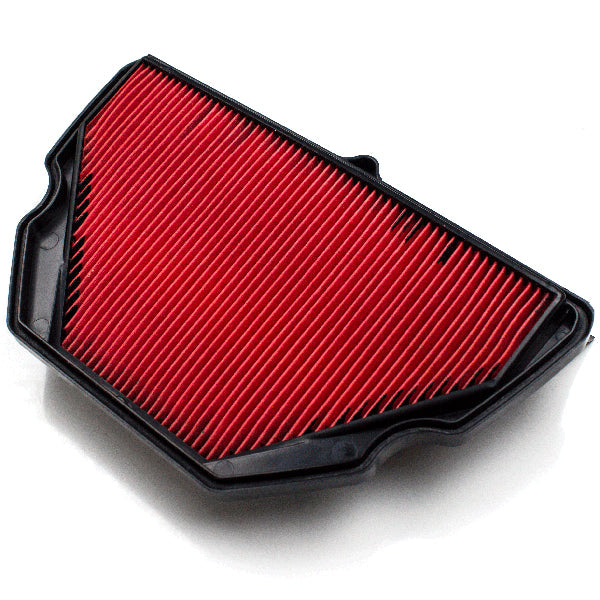 Lextek Air Filter Element for HFA1619, Honda 17210-MBW-D20, Honda 17210-MBW-D21