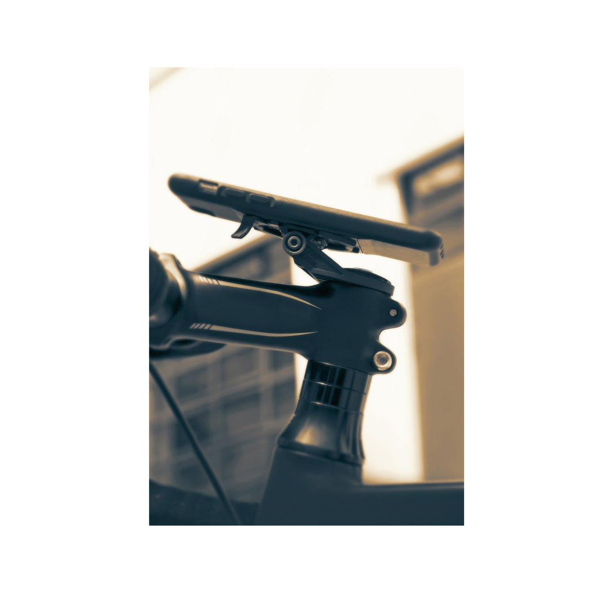 SKS Compit Stem Mount