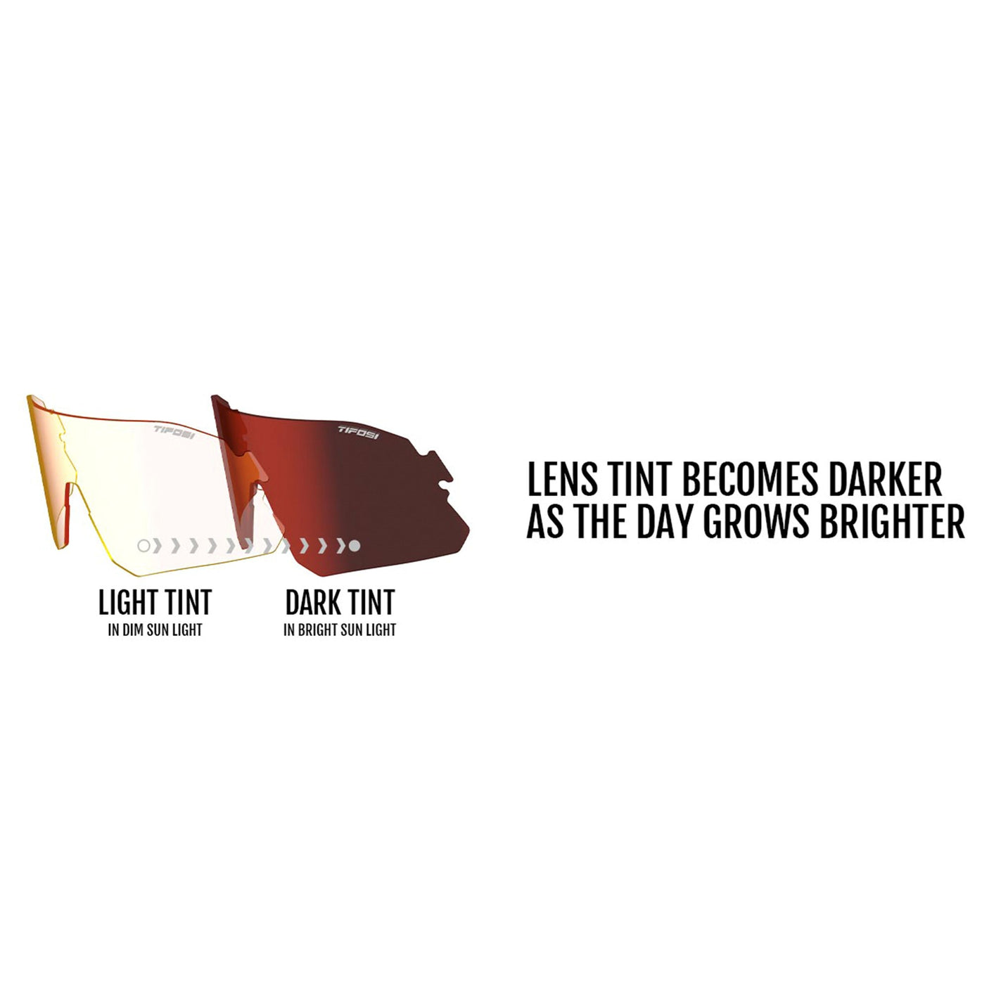 Tifosi Rail Clarion Fototec Lens Sunglasses