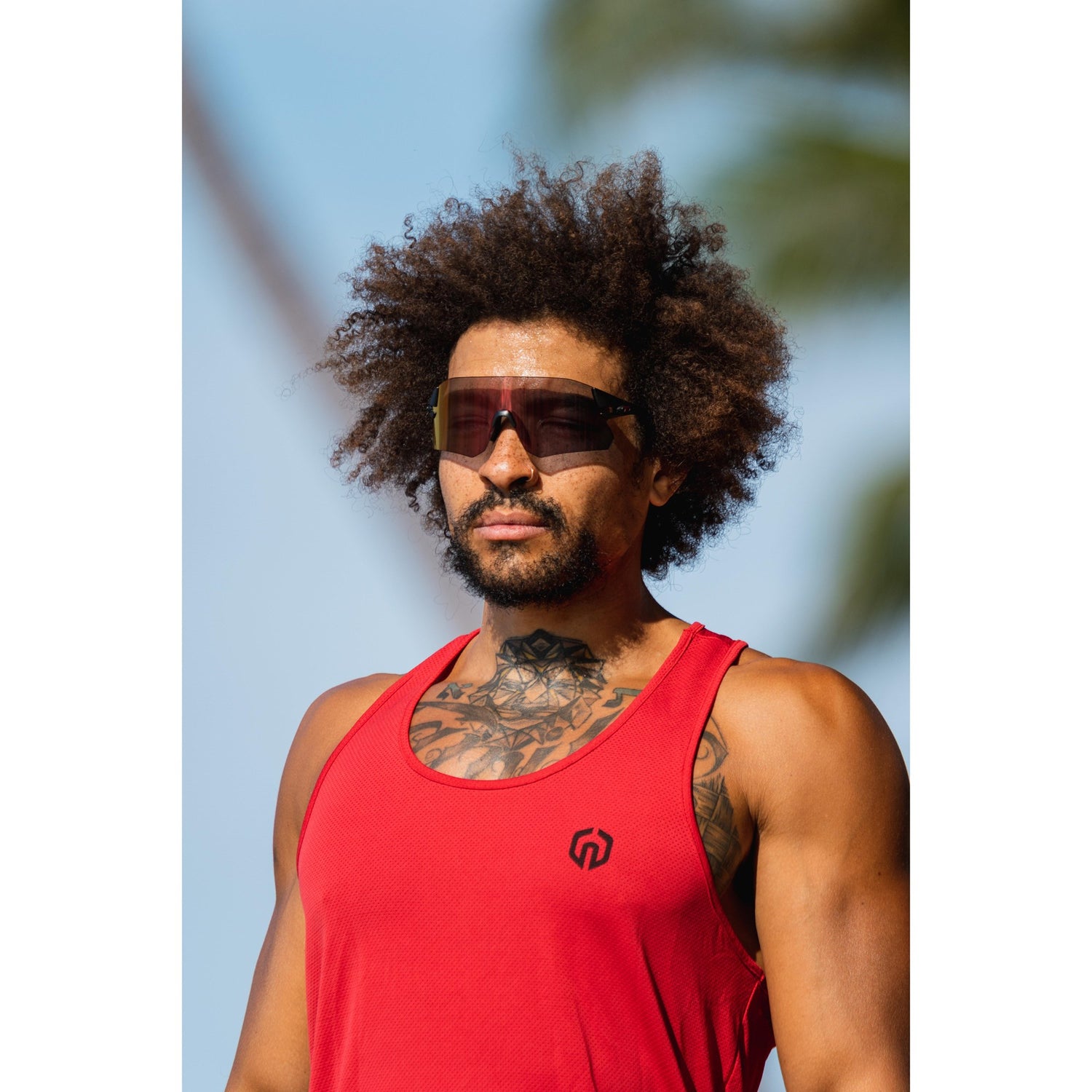 Tifosi Rail Clarion Fototec Lens Sunglasses