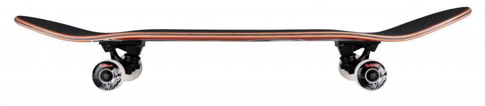 Birdhouse Complete Stage 3 Falcon 2