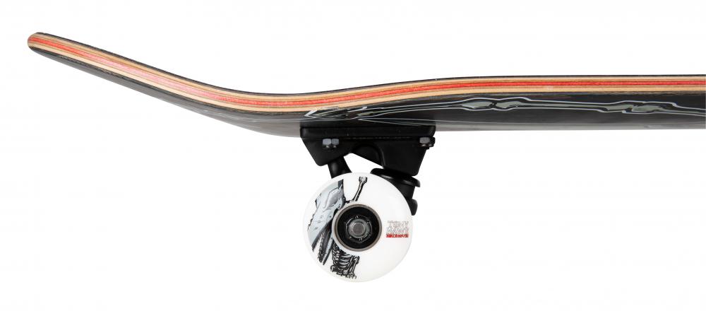 Birdhouse Complete Stage 3 Hawk Pterodactyl