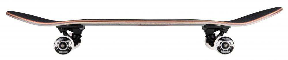 Birdhouse Complete Stage 3 Hawk Skull 2 Chrome