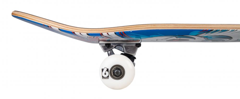 Birdhouse Complete Stage 1 Hawk Spiral