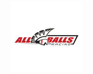 Collection image for: All Balls Racing Parts — Dirt Motorcycle