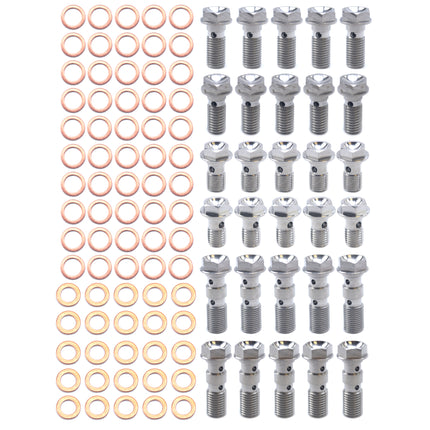 Pro Banjo Bolt Kit M8 & M10, Stainless Steel Banjo Bolts, 30 Bolts & 75 Copper Washers