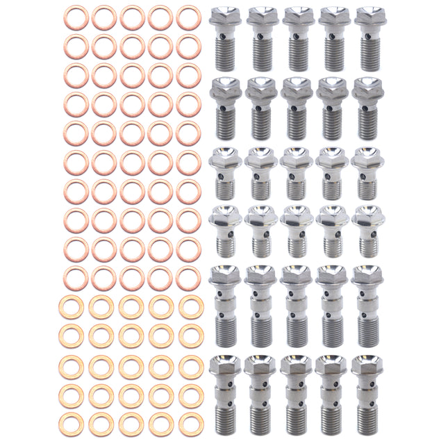 Pro Banjo Bolt Kit M8 & M10, Stainless Steel Banjo Bolts, 30 Bolts & 75 Copper Washers