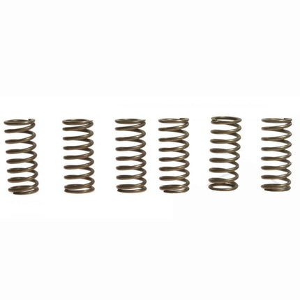 Clutch Spring SET/6 Ebc CSK015