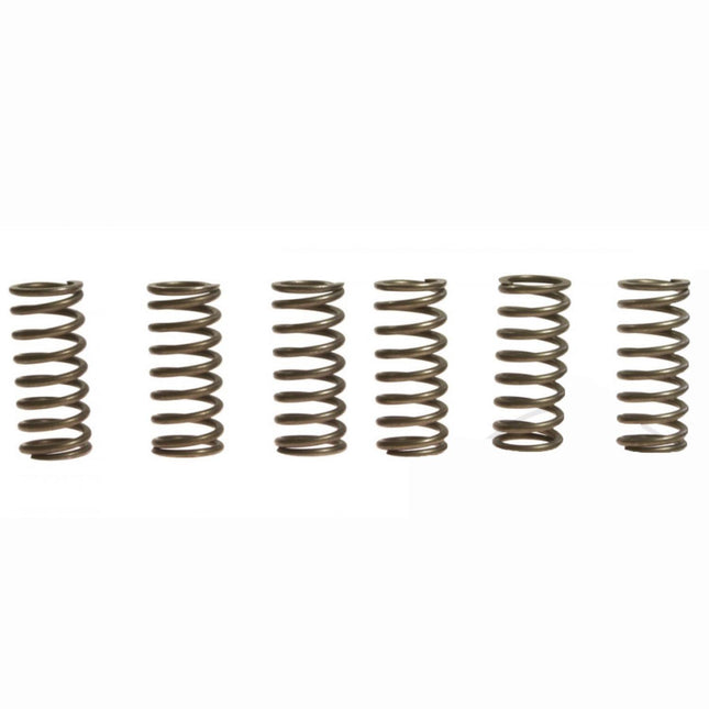 Clutch Spring SET/6 Ebc CSK015