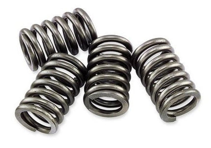 Clutch Springs Set/ Ebc CSK021