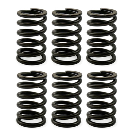Clutch Spring SET/6 Kit Ebc CSK023