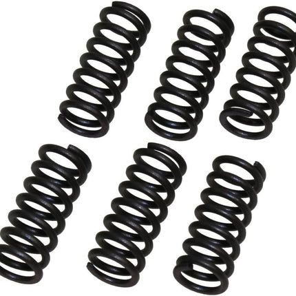 Clutch Spring SET/6 Ebc CSK024