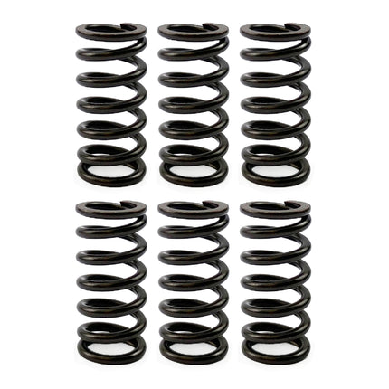 Clutch Spring HD SET/6 [CSK02] CSK2