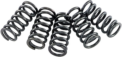 Clutch Spring SET/6 Ebc CSK002