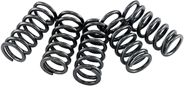Clutch Spring SET/6 Ebc CSK002