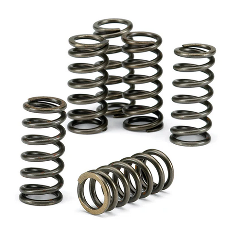 Clutch Spring KITSET/6 Ebc CSK027