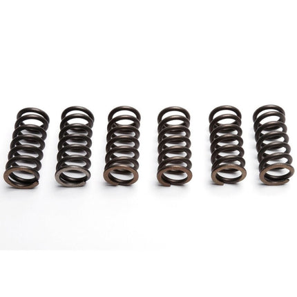 Clutch Spring SET/6 Kit Ebc CSK030