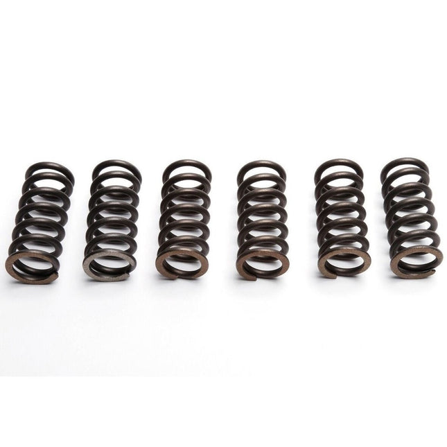 Clutch Spring SET/6 Kit Ebc CSK030