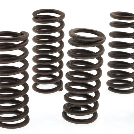 Clutch Spring Kit SET/6 Ebc CSK037