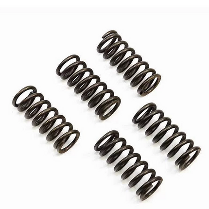Clutch Spring SET/5 CSK042
