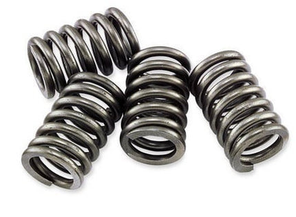 Clutch Spring SET/4 Ebc CSK048