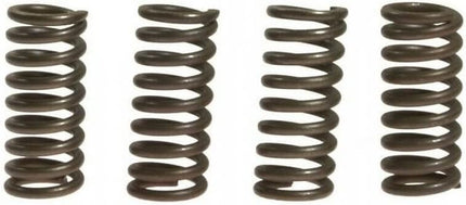 Clutch Spring Kit SET/4 Ebc CSK52