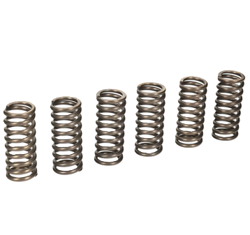 Clutch Spring SET/6 Ebc CSK055