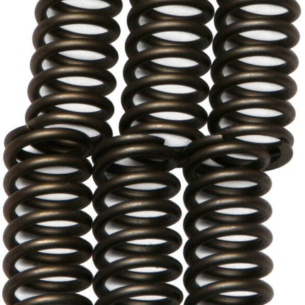 Clutch Spring SET/6 Ebc CSK062