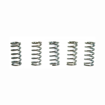 Clutch Spring SET/5 Ebc CSK073