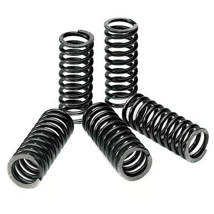 Clutch Springs SEET/5 Ebc CSK077