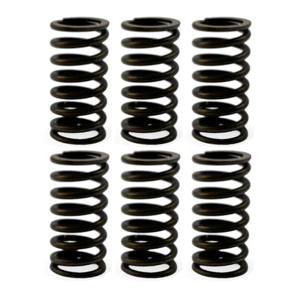 Clutch Spring HD SET/6 [CSK77]