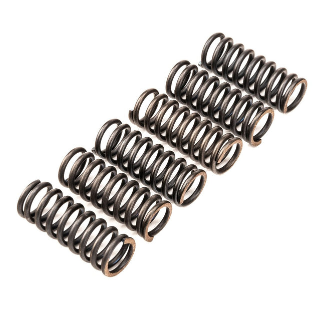 Clutch Spring Kit SET/6 CSK081