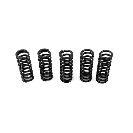 Clutch Spring Kit, Prox 17.CS22031 Made In Japan