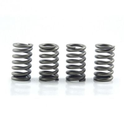 Clutch Spring Kit SET/4 Ebc CSK082