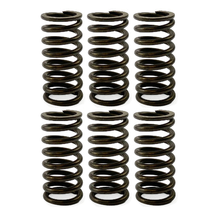 Clutch Spring HD SET/6 [CSK91]