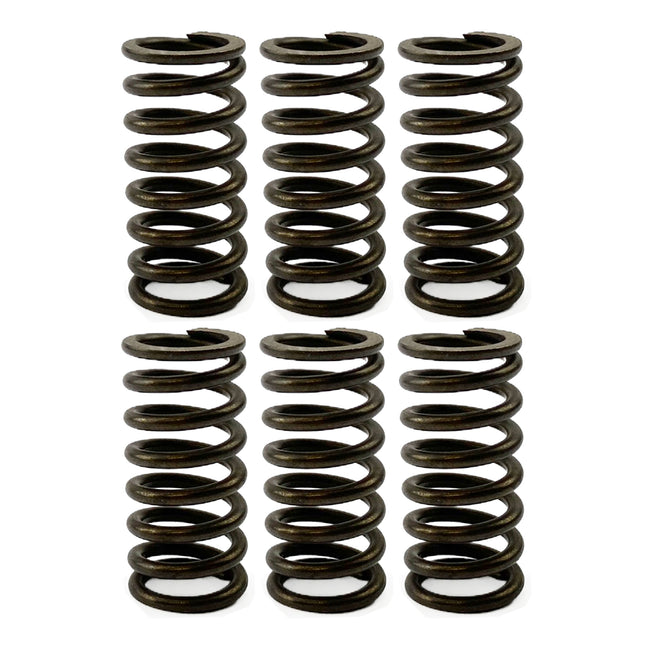 Clutch Spring HD SET/6 [CSK91]