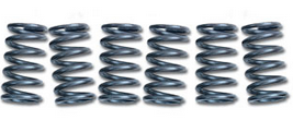 Clutch Spring SET/6 Ebc CSK093