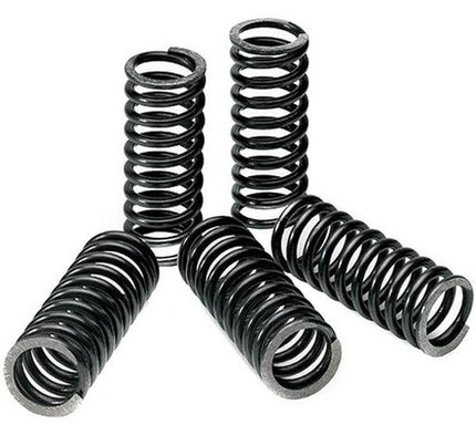 Clutch Spring SET/5 Ebc CSK065
