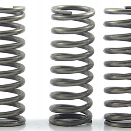 Clutch Spring SET/5 Ebc CSK097