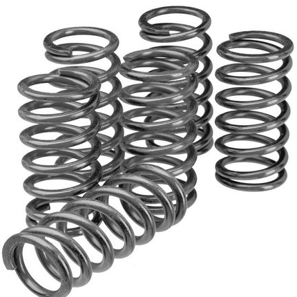 Clutch Spring SET/6 Ebc CSK001