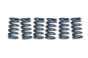 Clutch Spring Set Ebc CSK072