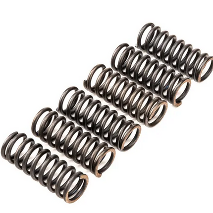 Clutch Spring SET/6 Ebc CSK120