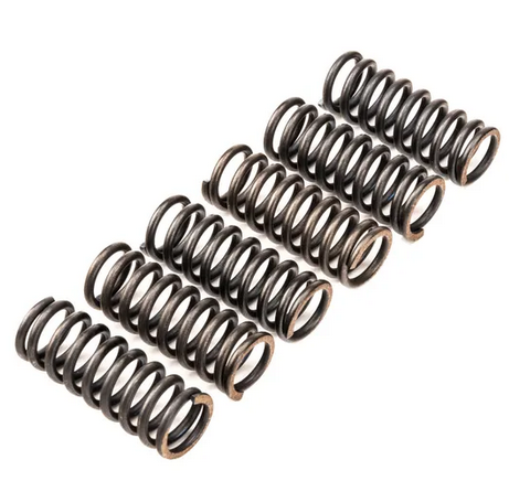 Clutch Spring SET/6 Ebc CSK120