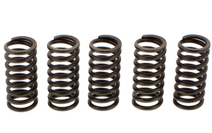 Clutch Springs SET/5 Ebc CSK137