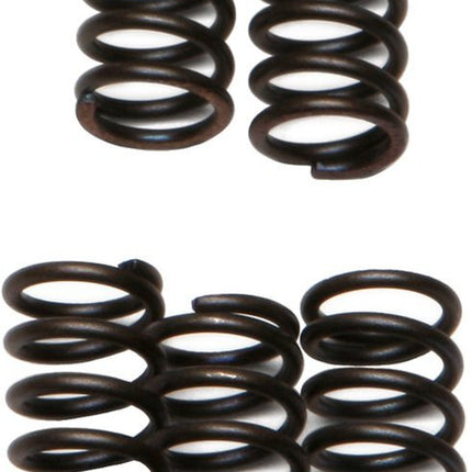 Clutch Springs SET/5 Ebc CSK132