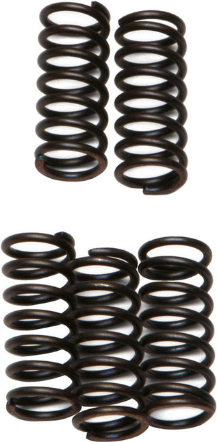 Clutch Springs SET/5 Ebc CSK132
