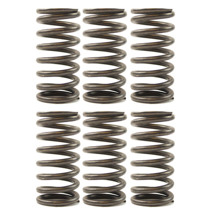 Clutch Springs SET/6 Ebc CSK136