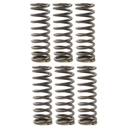 Clutch Spring SET/6 Ebc CSK119