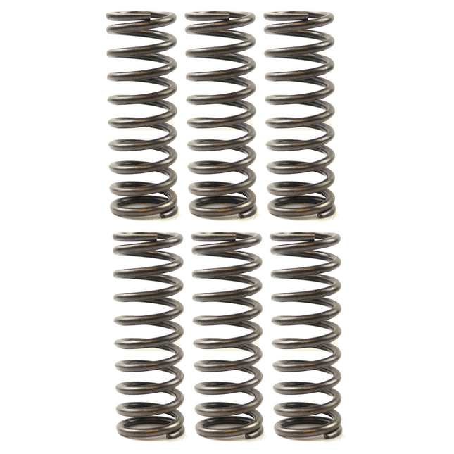 Clutch Spring SET/6 Ebc CSK119